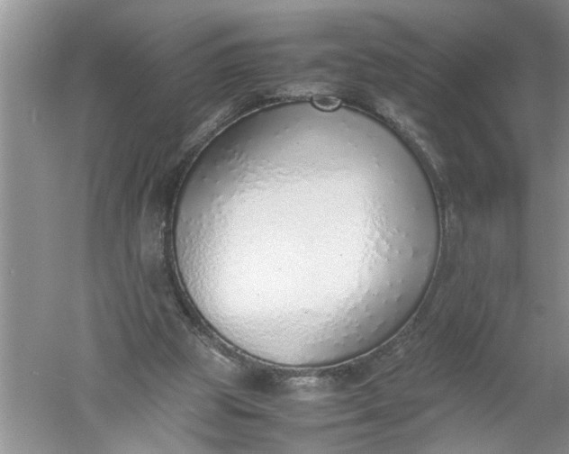 X0000052550153200507152209