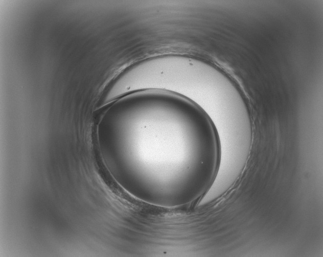 X0000052550154200507152209