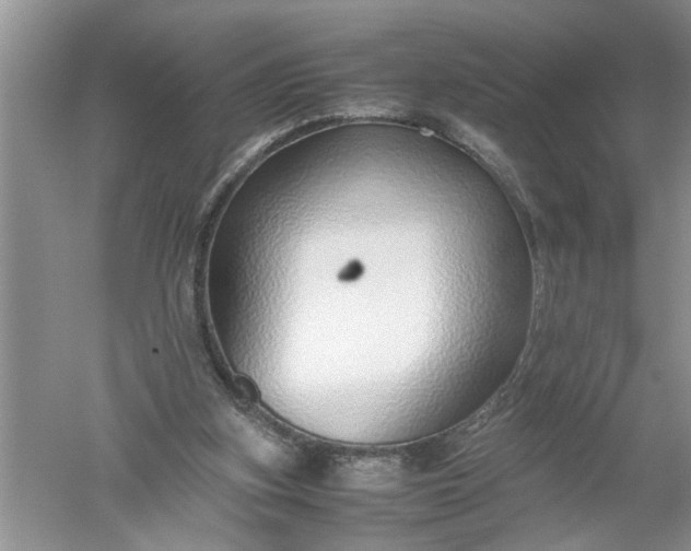 X0000052550155200507152209