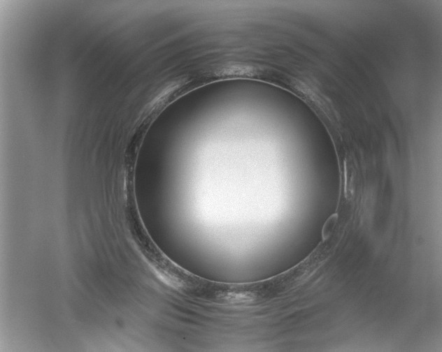 X0000052550157200507152209