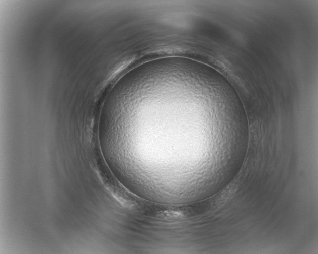 X0000052550159200507152209