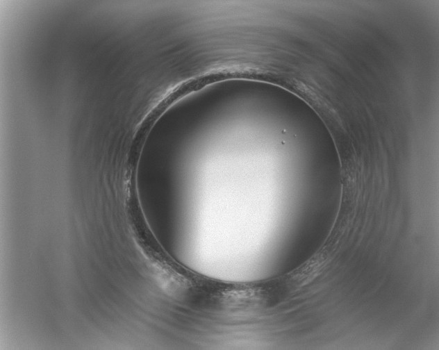 X0000052550160200507152209