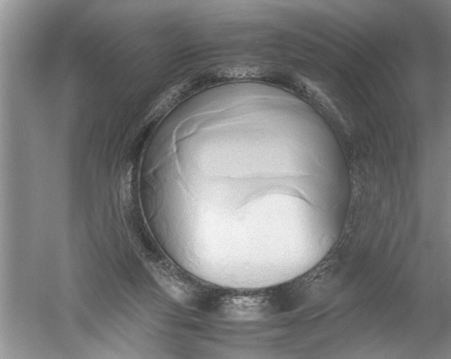 X0000052550163200507152209