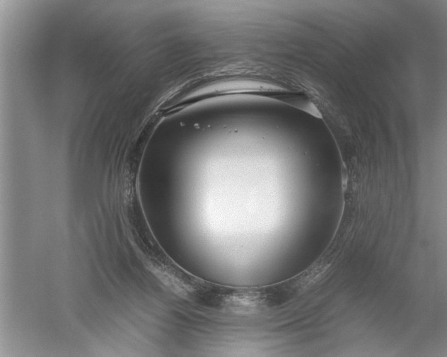 X0000052550164200507152209