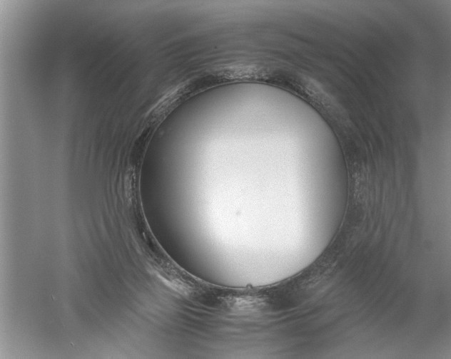 X0000052550165200507152209