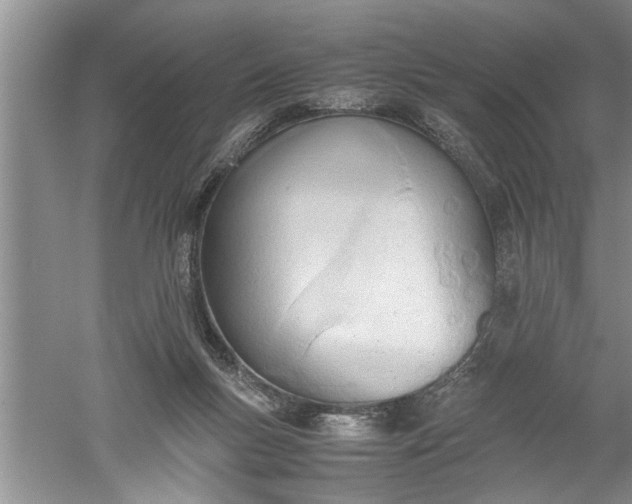 X0000052550167200507152209