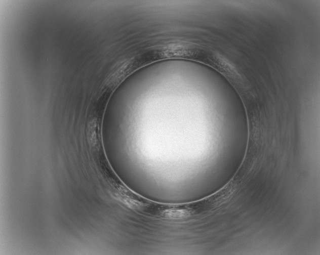 X0000052550169200507152209