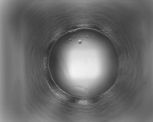 X0000052550171200507152209