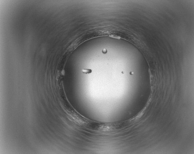 X0000052550174200507152209