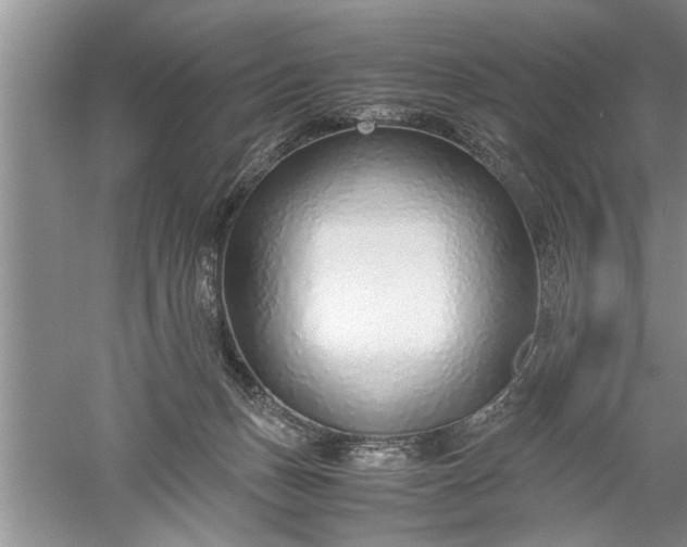 X0000052550175200507152209