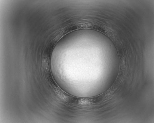 X0000052550177200507152209