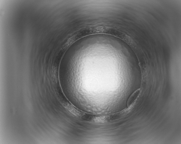 X0000052550178200507152209