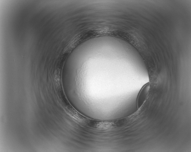 X0000052550179200507152209