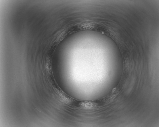 X0000052550181200507152209