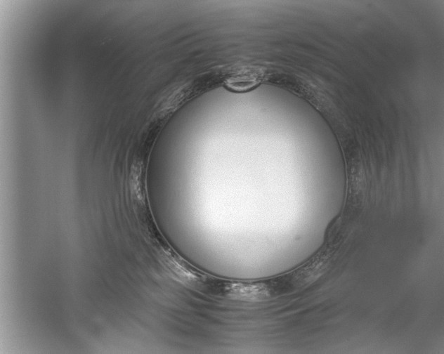 X0000052550185200507152209