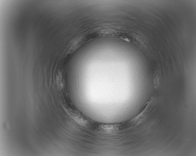 X0000052550187200507152209