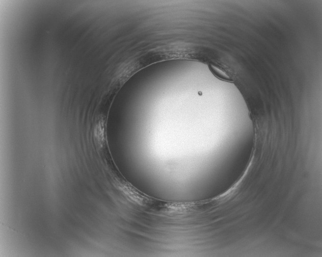 X0000052550190200507152209