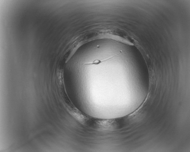 X0000052550191200507152209