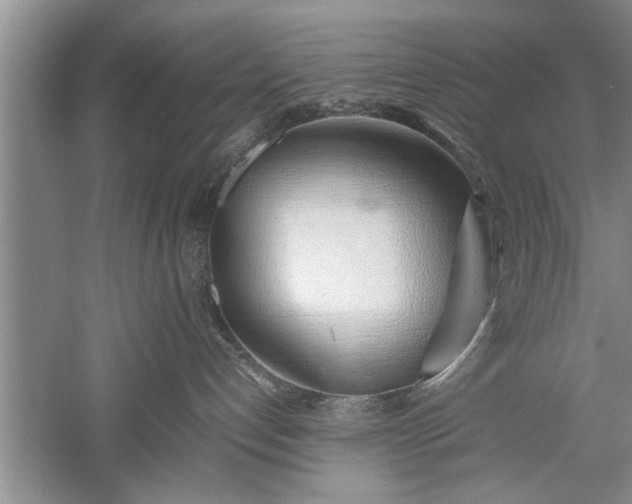 X0000052550192200507152209