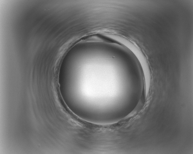 X0000052550193200507152208