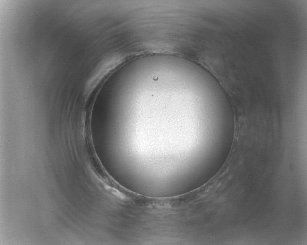 X0000052550194200507152208