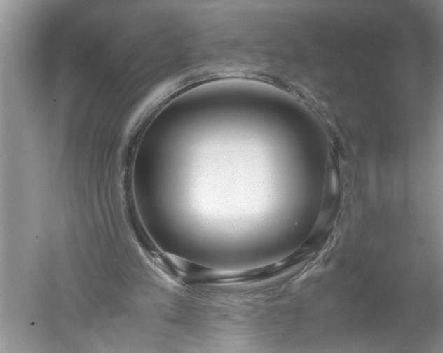 X0000052550197200507152208