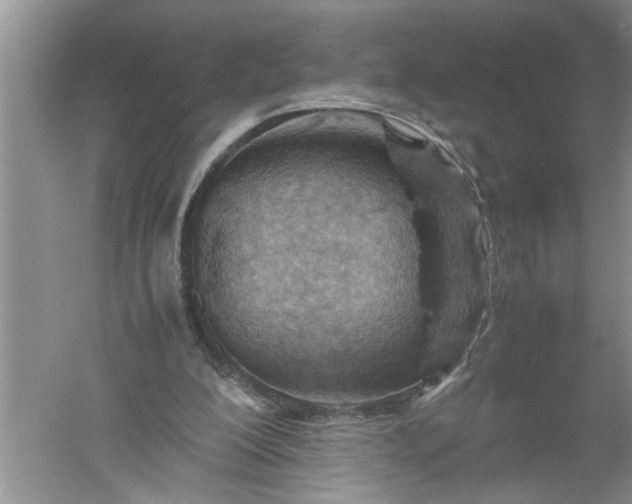 X0000052550200200507152208