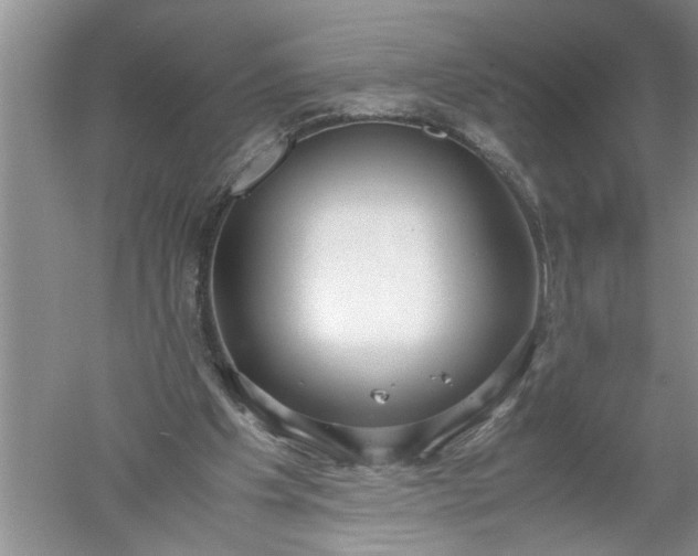 X0000052550201200507152208