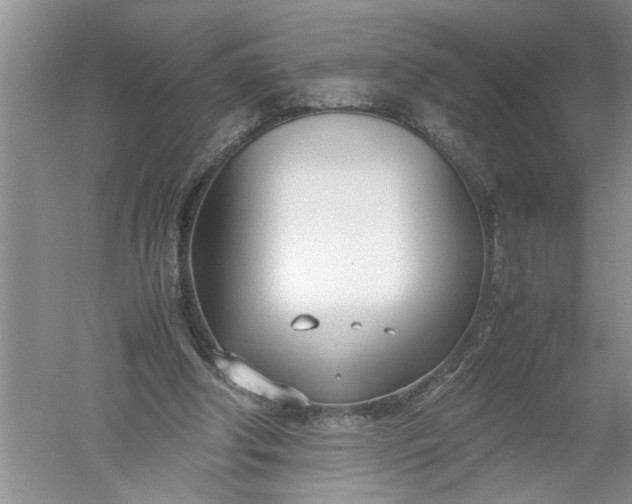 X0000052550202200507152208