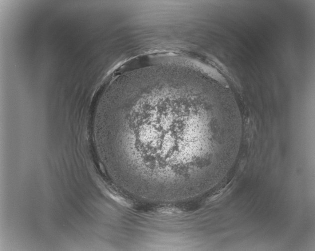 X0000052550203200507152208