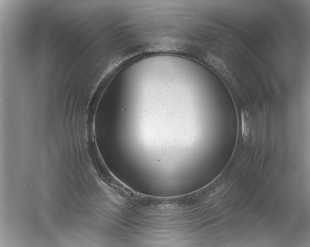 X0000052550204200507152208