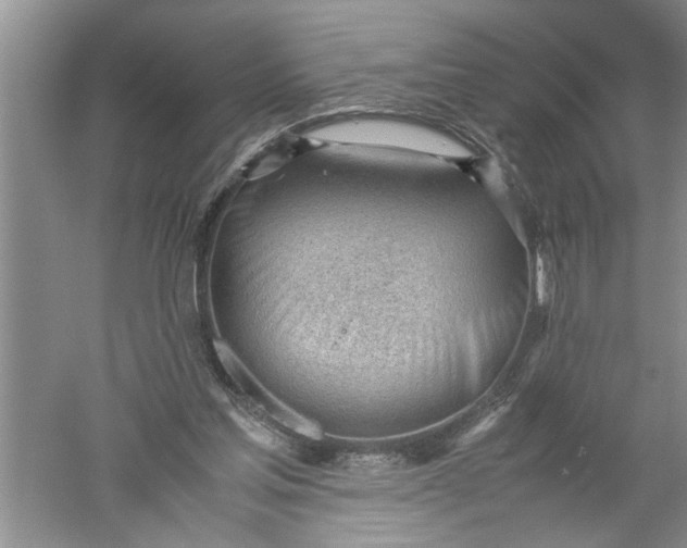 X0000052550205200507152208