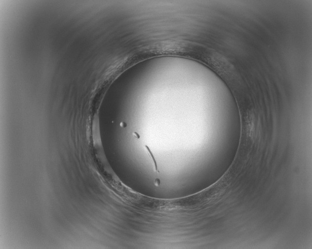 X0000052550206200507152208