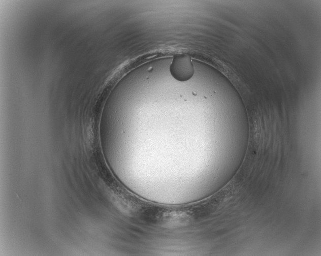 X0000052550208200507152208