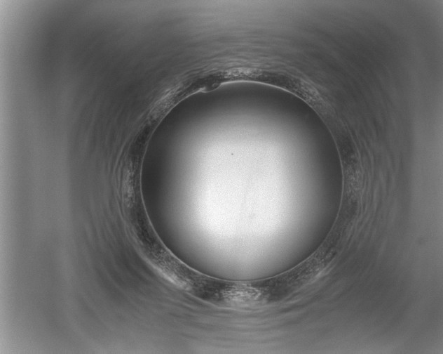 X0000052550215200507152208