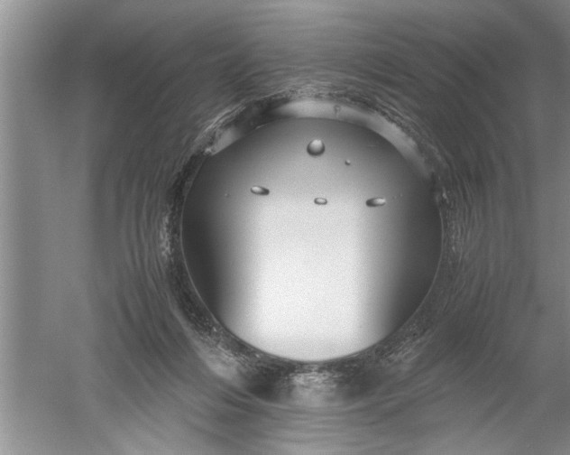 X0000052550216200507152208