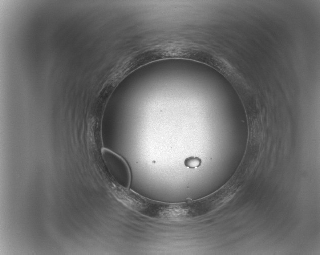 X0000052550217200507152208