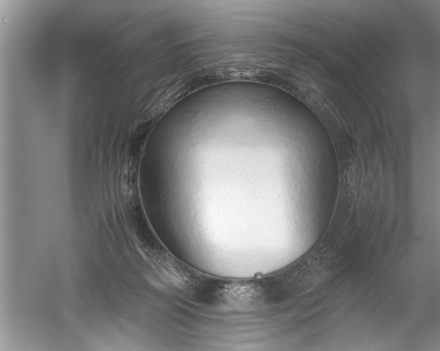 X0000052550218200507152208