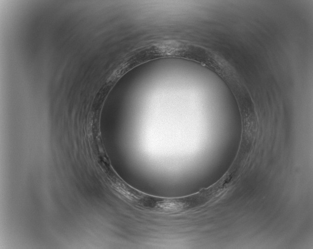 X0000052550221200507152208