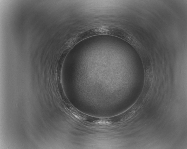 X0000052550223200507152208