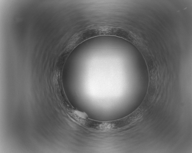 X0000052550225200507152208