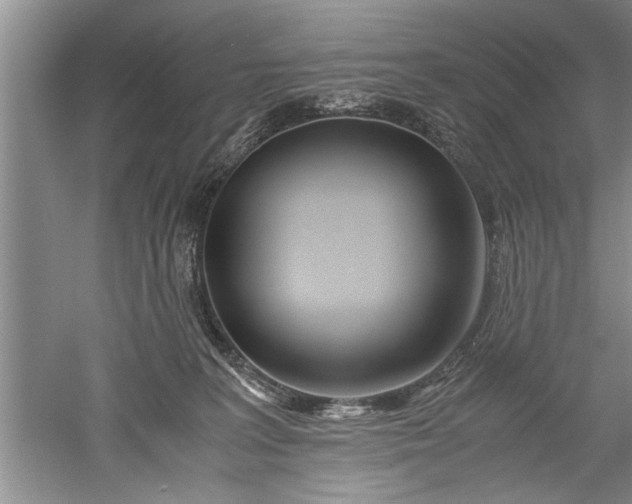 X0000052550227200507152208