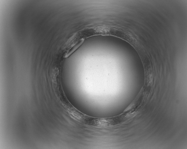 X0000052550229200507152208