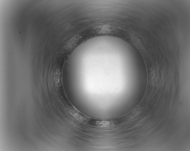 X0000052550230200507152208