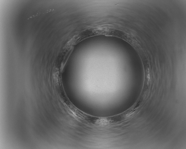 X0000052550231200507152208