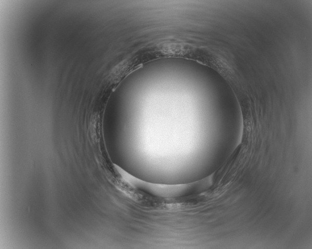 X0000052550233200507152208