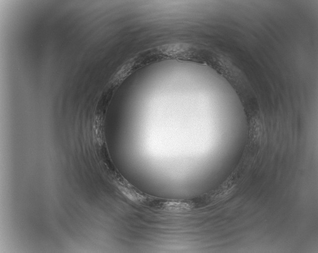 X0000052550234200507152208