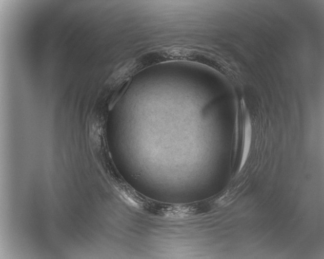 X0000052550235200507152208