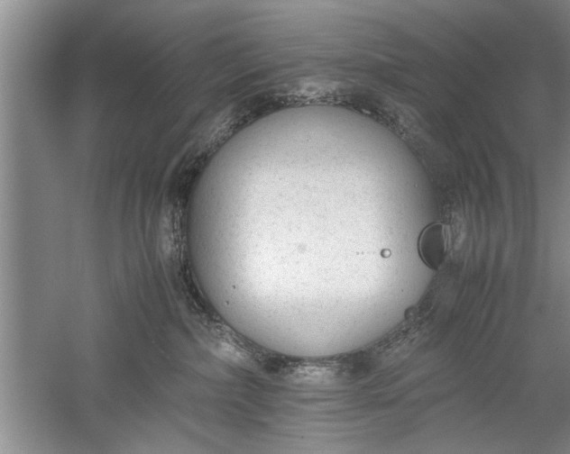 X0000052550236200507152208