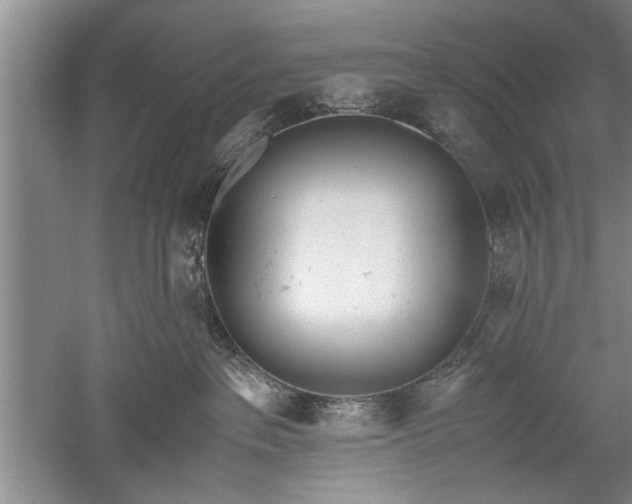 X0000052550237200507152208